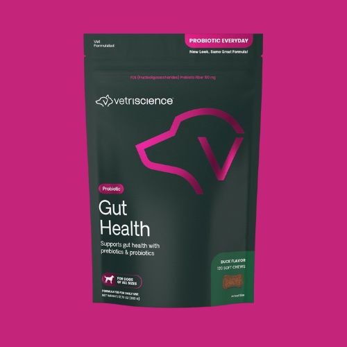 Probiotics for Dogs 2
