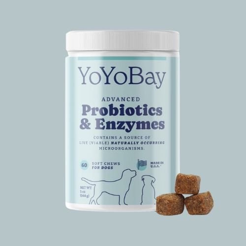 Probiotics for Dogs 1