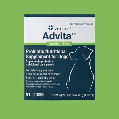Probiotics for Dogs 3