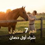 نصائح شراء أول حصان