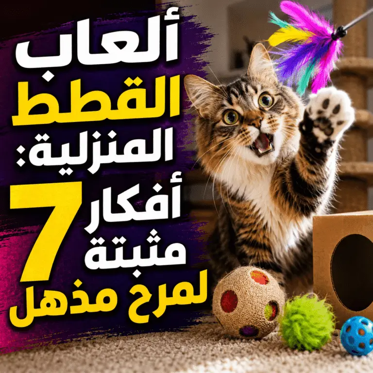 ألعاب القطط المنزلية