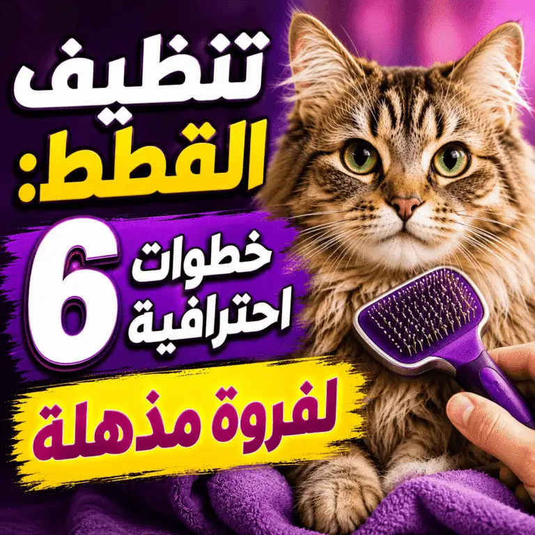 تنظيف القطط