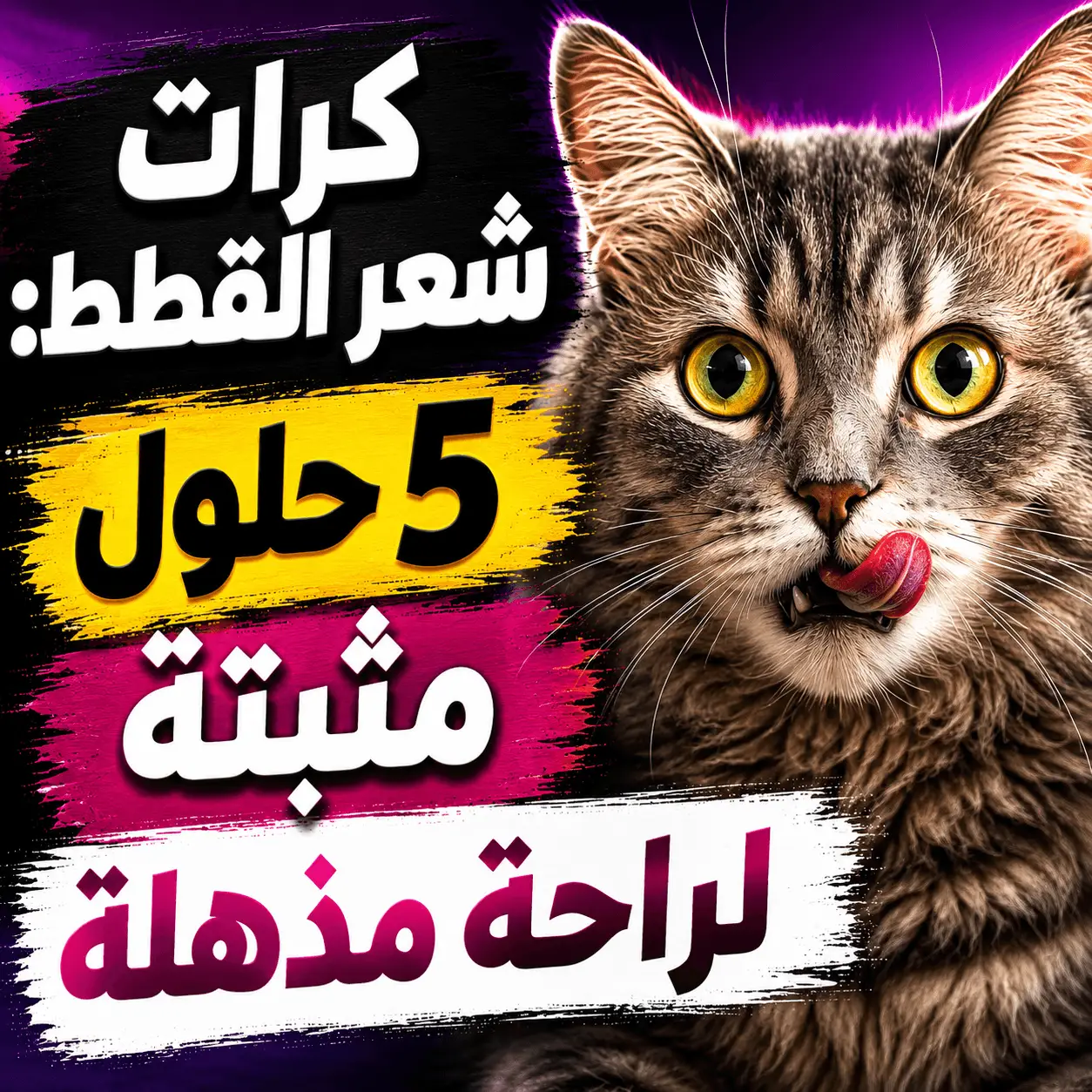 كرات شعر القطط