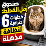 صندوق رمل القطط