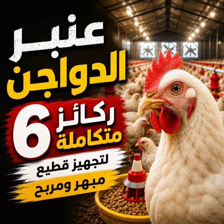 عنبر الدواجن