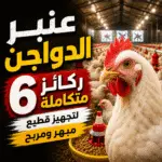 عنبر الدواجن