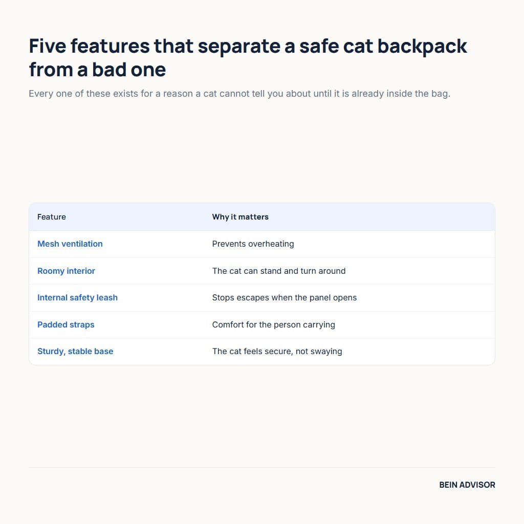Five cat backpack features that matter: mesh ventilation, roomy interior, internal safety leash, padded straps and a sturdy base