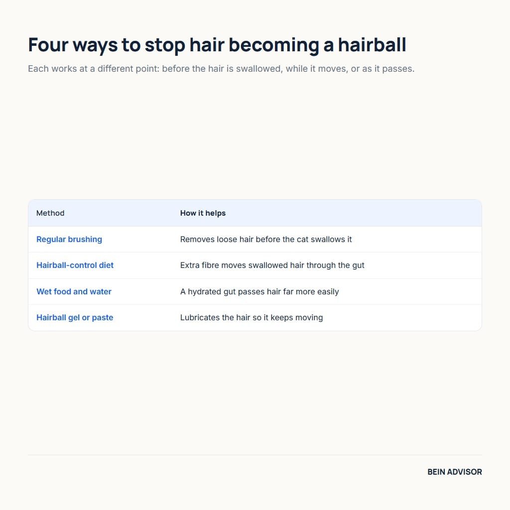 Four ways to prevent cat hairballs: regular brushing, a hairball-control diet, wet food and water, and hairball gel