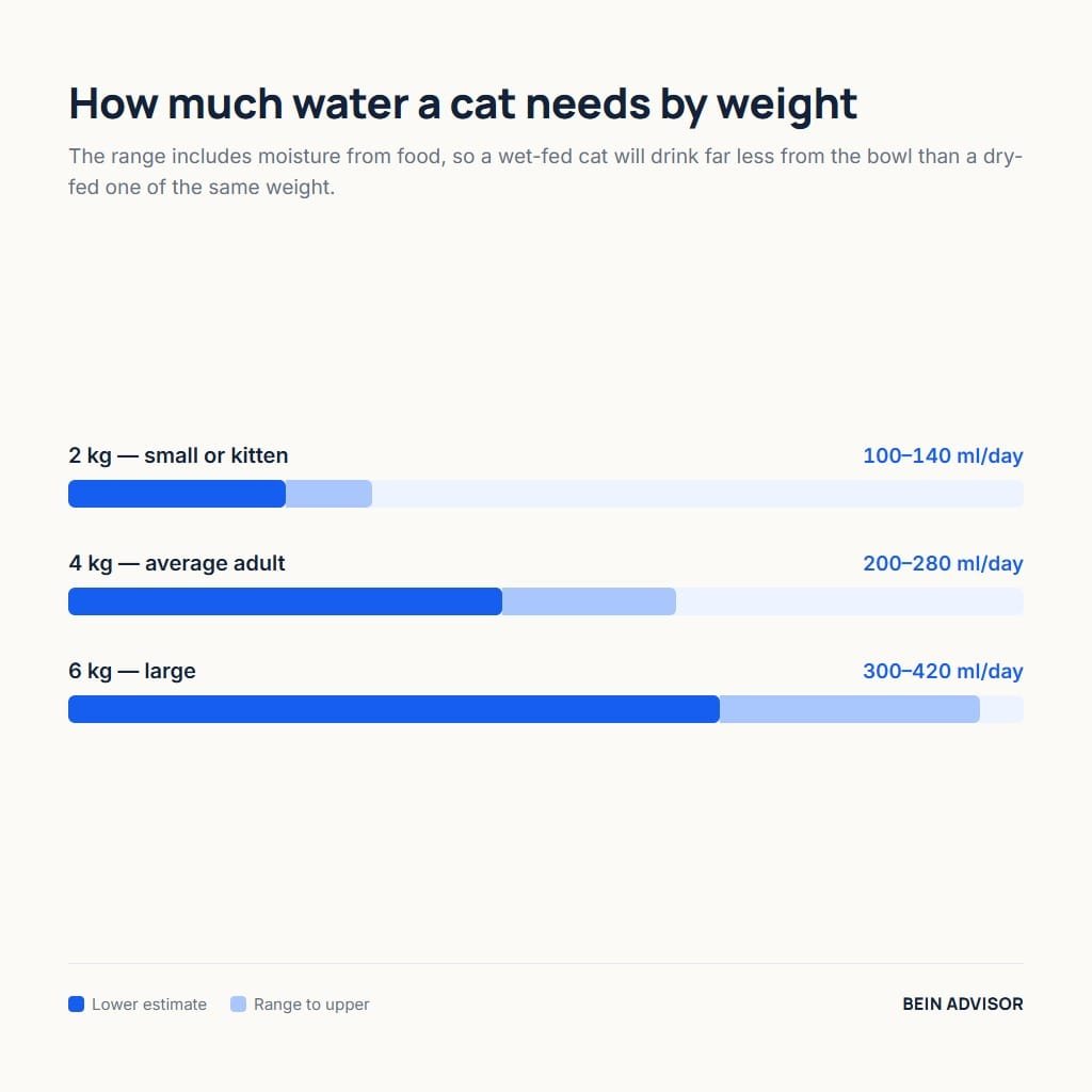 Daily water a cat needs by body weight, including food moisture