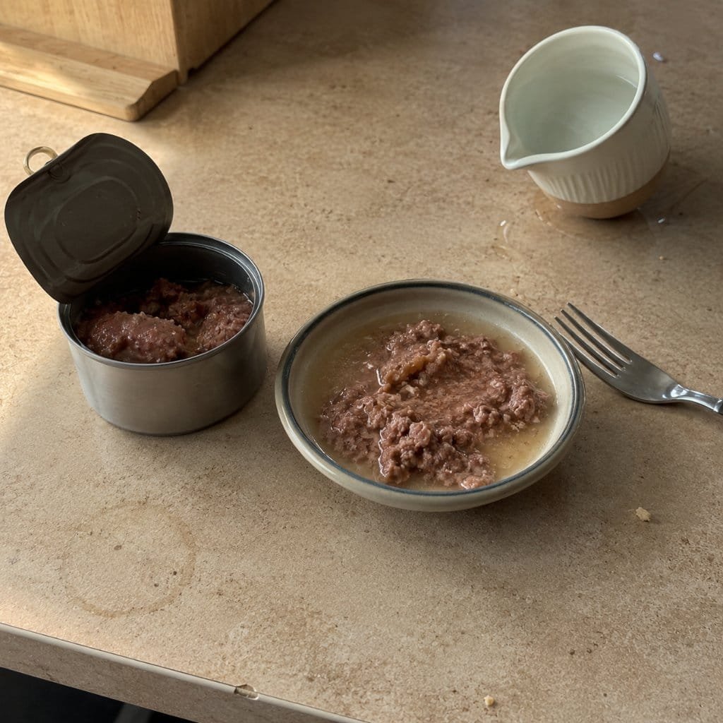 Wet cat food in a dish with water stirred in to improve cat hydration