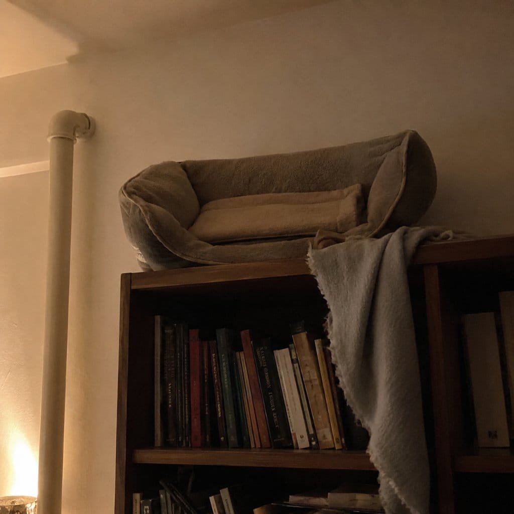 A quiet elevated cat bed on a high shelf prepared for night sleep