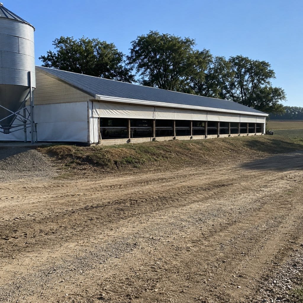 An open-sided poultry house on raised ground with a feed silo