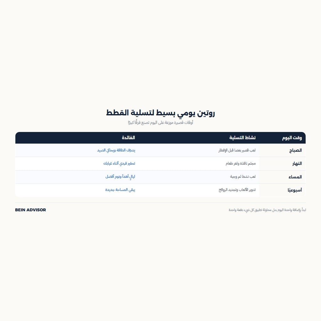 روتين يومي بسيط لتسلية القطط