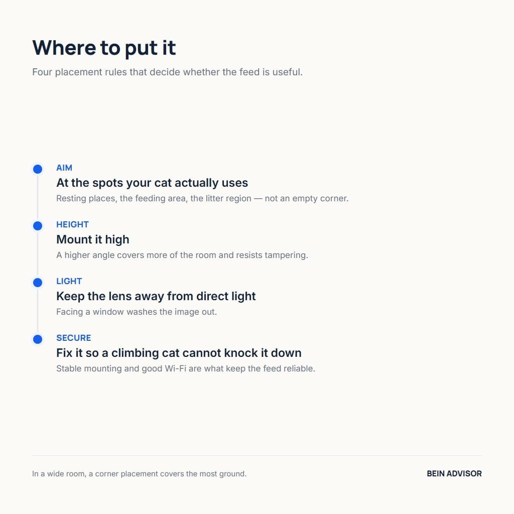 Timeline of pet camera placement rules for a clear view