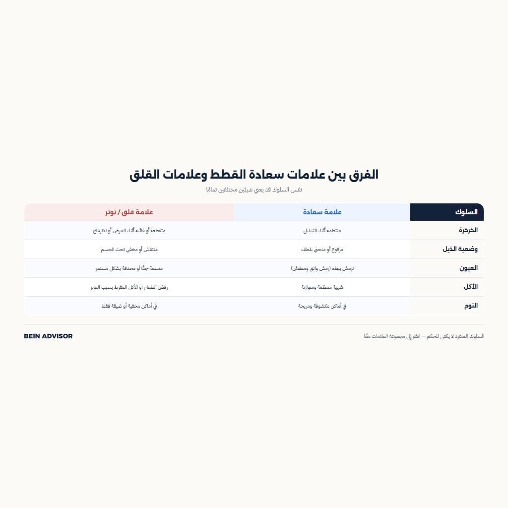 الفرق بين علامات سعادة القطط وعلامات القلق