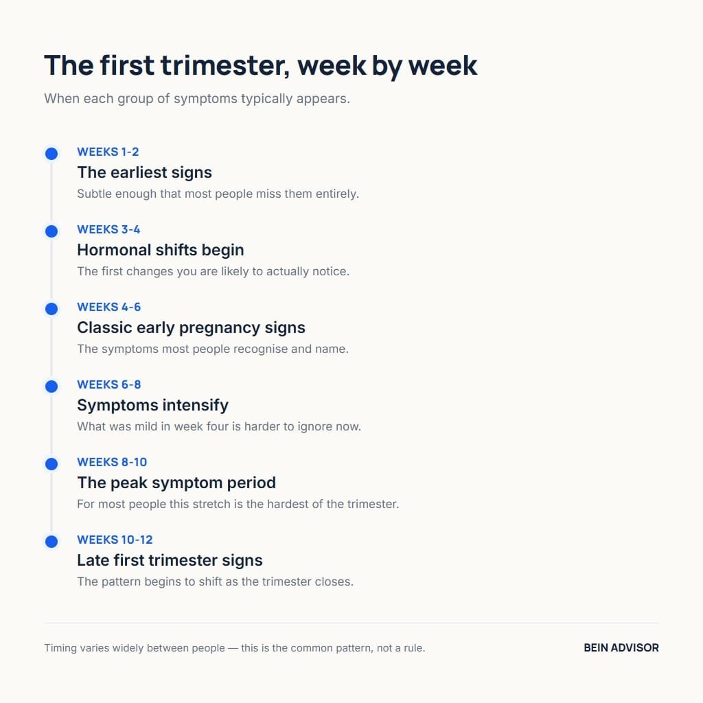 Timeline of first trimester symptoms week by week