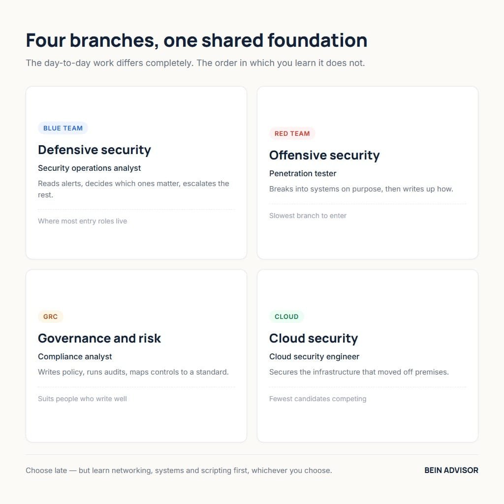 Four branches of cybersecurity compared: blue team, red team, governance and cloud