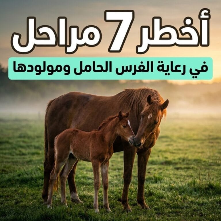 رعاية الفرس الحامل ومولودها: فرس تلامس مهرها حديث الولادة في مرعى أخضر عند الفجر
