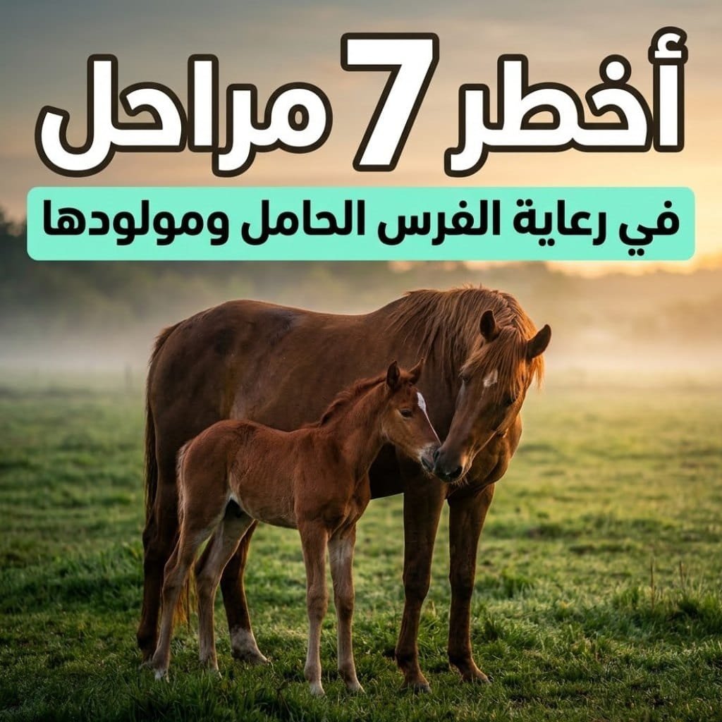 رعاية الفرس الحامل ومولودها: فرس تلامس مهرها حديث الولادة في مرعى أخضر عند الفجر